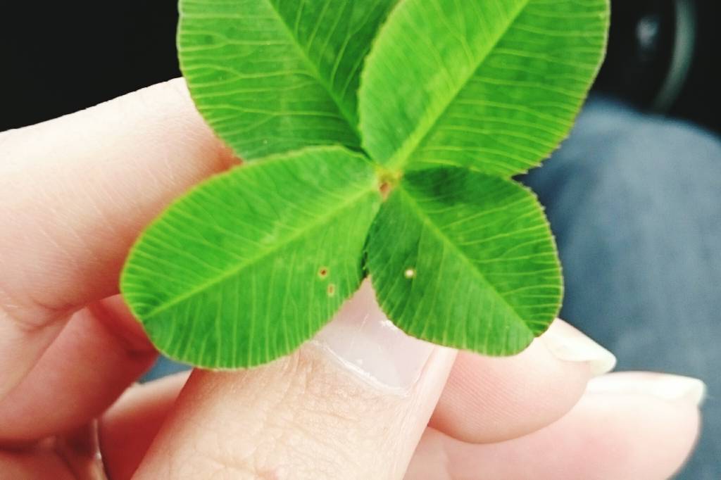 Find de gode krystaller for held