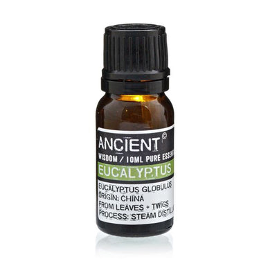 Ancient Eukalyptus Æterisk Olie