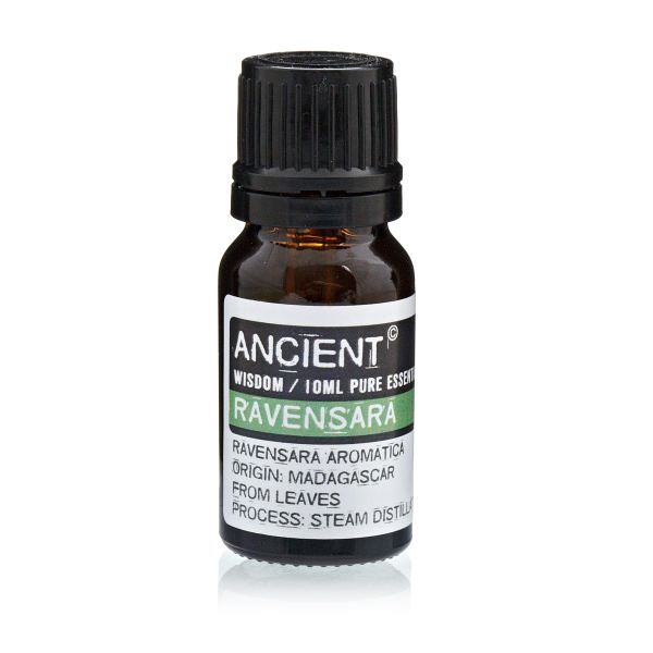 køb Ancient ravensara æterisk olie 10 ml