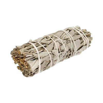 California hvid salvie bundt 10 cm – Salvia apiana smudge