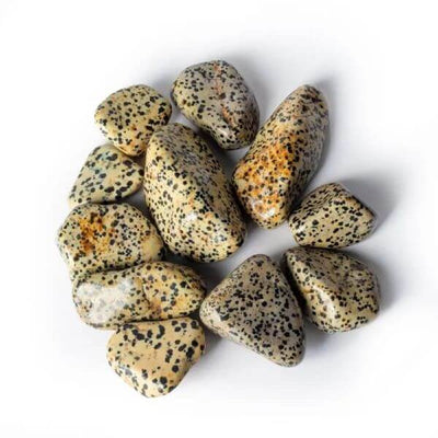 Dalmatiner Jaspis Lommesten 3-4 cm