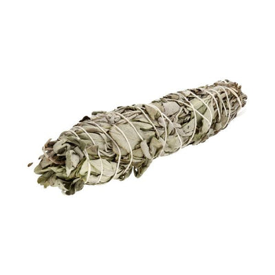 Lægesalvie smudge stick 16 cm – håndbundet salviebundt